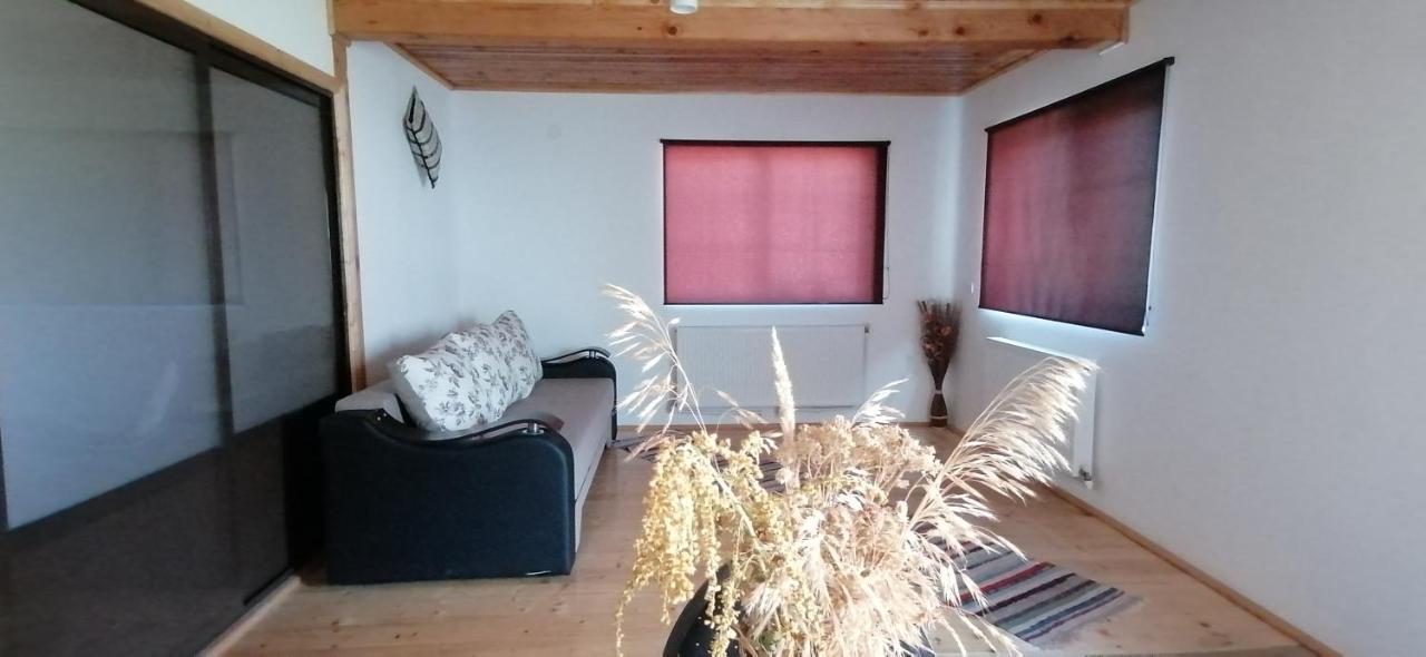 Domeniul Roa Hotel Felek Kültér fotó