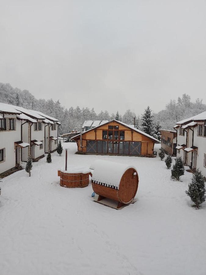 Domeniul Roa Hotel Felek Kültér fotó